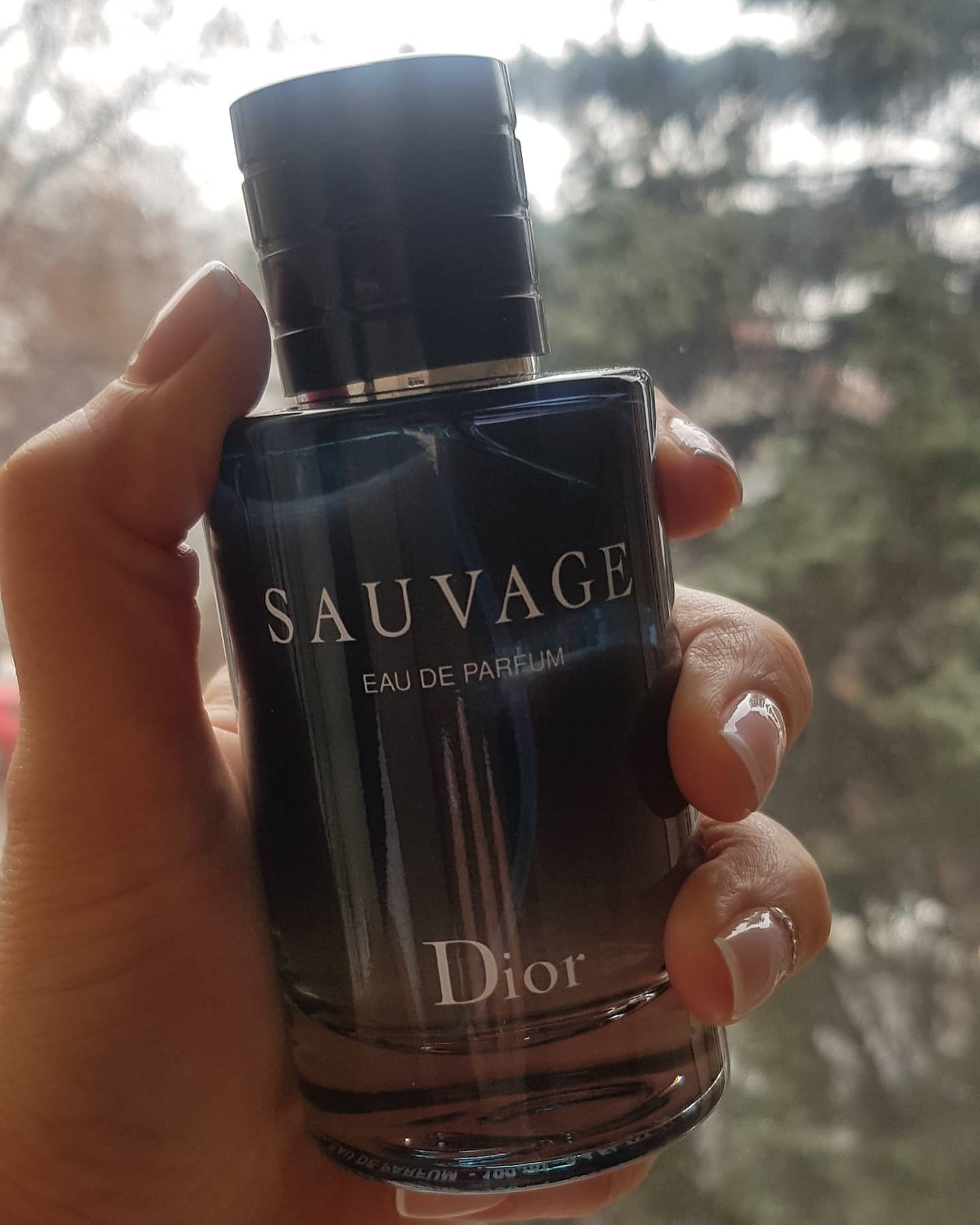 Dior Sauvage - Fragrance Explorers